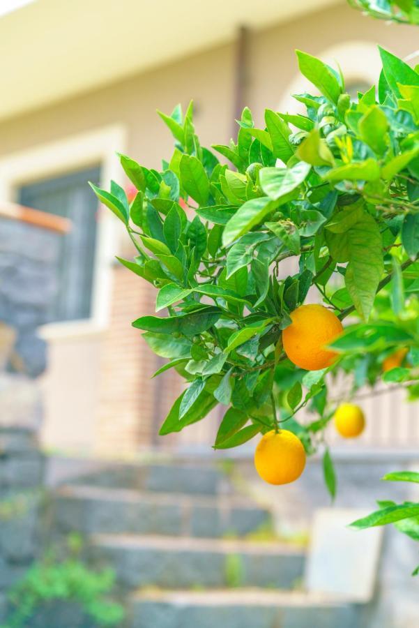 Bedda Mia Etna House B&B Trecastagni Dış mekan fotoğraf